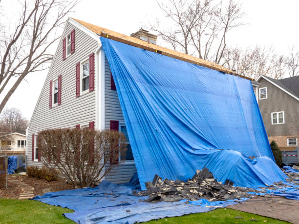 Best Estate Cleanout  in Cape Charles, VA